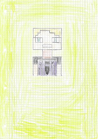 06 Minecraft